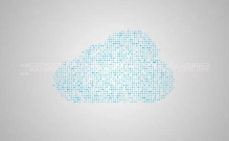 意昂4凯捷娱乐小度商城**在直真科技云计算的赋能下：优化您的企业运营
**