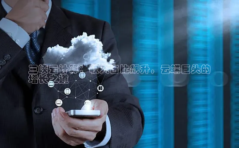 凯捷度小满理财三峡云计算：收入占比飙升，云端巨头的
增长之道