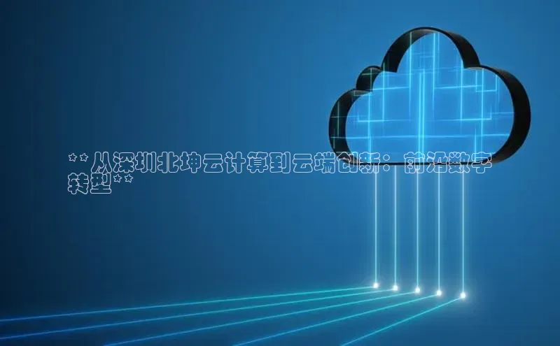 意昂4凯捷娱乐百度集团**从深圳北坤云计算到云端创新：前沿数字
转型**