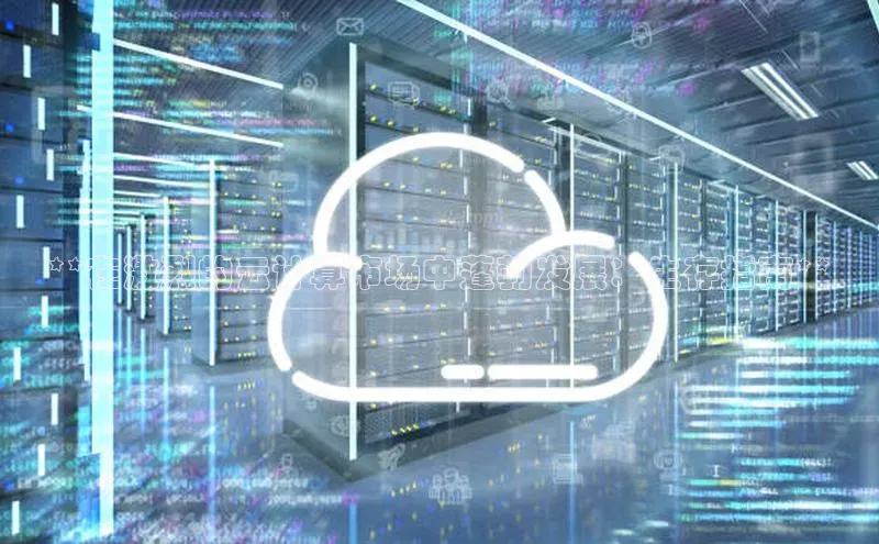 意昂4凯捷体育度小满支付**在激烈的云计算市场中蓬勃发展：生存指南**