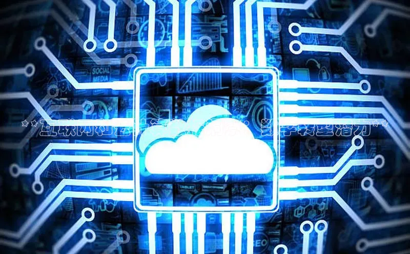 意昂4凯捷体育巴美列捷福**互联网和云计算数据洞察：数字转型潜力**