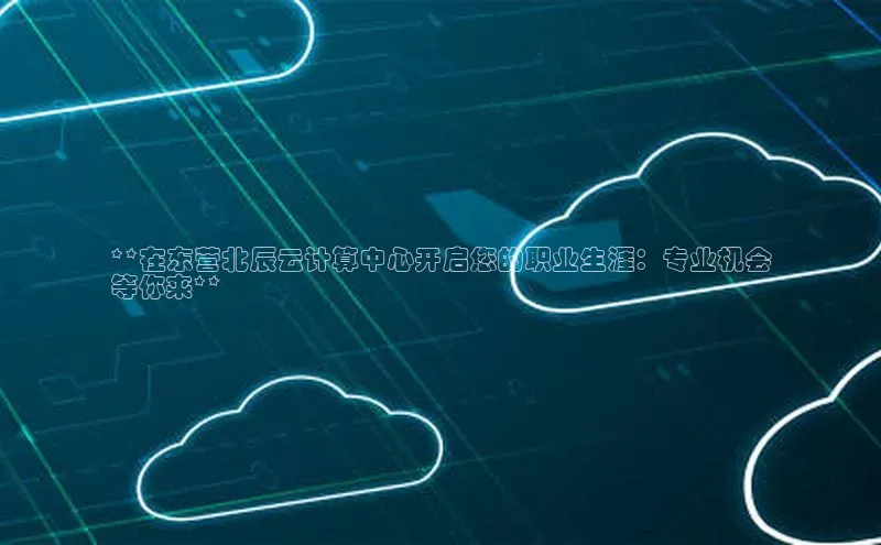 凯捷娱乐阿里尔公司**在东营北辰云计算中心开启您的职业生涯：专业机会
等你来**