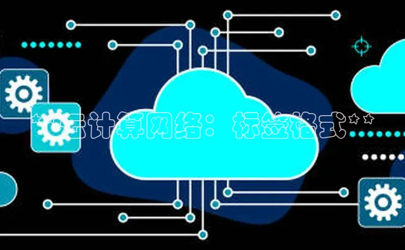 凯捷体育58同城**云计算网络：标签格式**