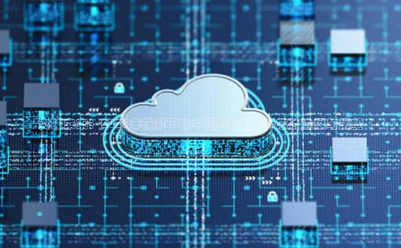 突破未来：2025年前景下的中国AI自研Asic芯片进展与展望