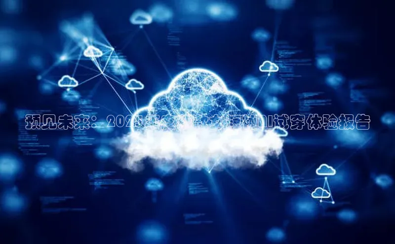 预见未来：2025年度新款女短袖AI试穿体验报告