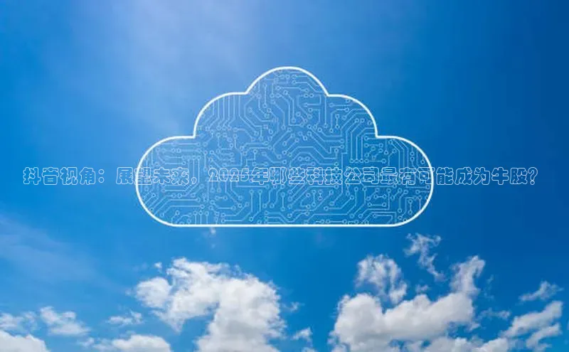 抖音视角：展望未来，2025年哪些科技公司最有可能成为牛股？